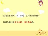 教科小学科学五上《1.5、食物链和食物网》PPT课件(6)