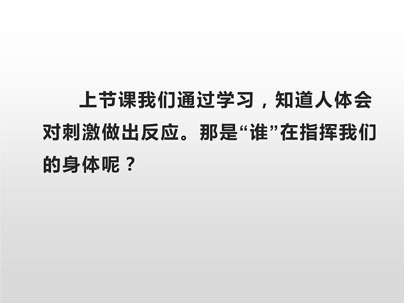 人体指挥部——脑PPT课件免费下载02