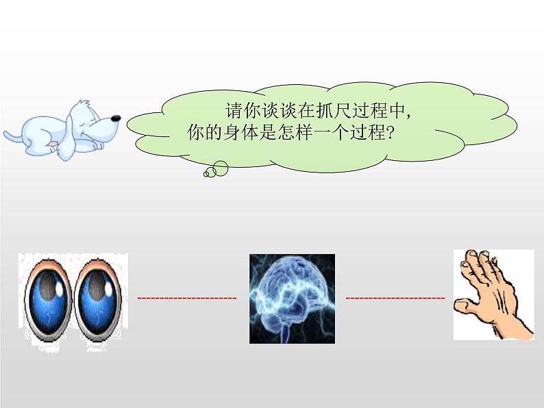 人体指挥部——脑PPT课件免费下载08