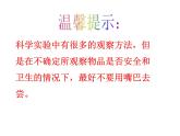 教科小学科学六下《2.3、米饭、淀粉和碘酒的变化》PPT(1)课件