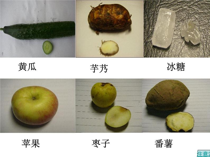 教科小学科学六下《2.3、米饭、淀粉和碘酒的变化》PPT(1)课件第4页