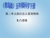 小学青岛版 (五四制)13 凸透镜教课ppt课件