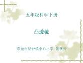 青岛小学科学四下《13 凸透镜》PPT课件