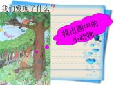 青岛小学科学四下《16 变色龙》PPT课件