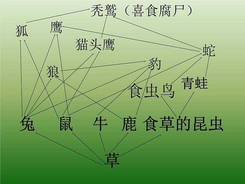 青岛小学科学四下《19 密切联系的生物界》PPT课件 (16)02