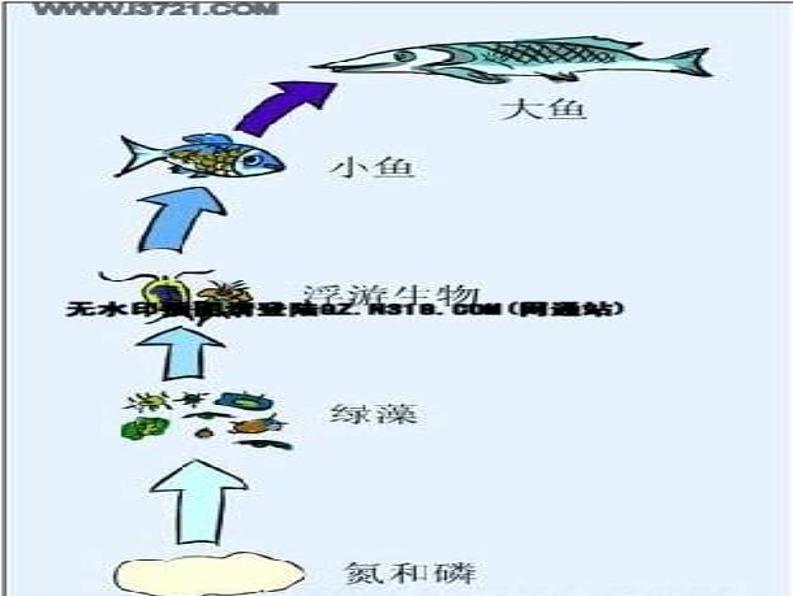 青岛小学科学四下《19 密切联系的生物界》PPT课件 (16)03