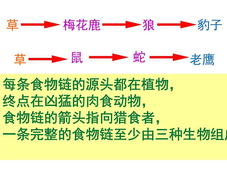 青岛小学科学四下《19 密切联系的生物界》PPT课件 (17)07