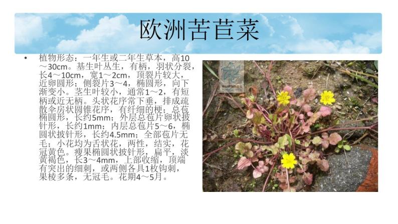 青岛小学科学四下《22 昼夜与生物》PPT课件 (5)07