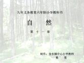 青岛小学科学四下《20 珍稀动植物》PPT课件 (1)