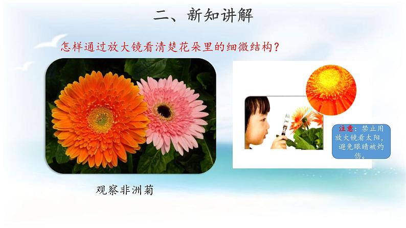 粤教版一年级上册科学1.4 学会运用工具 （教案+课件+素材）05