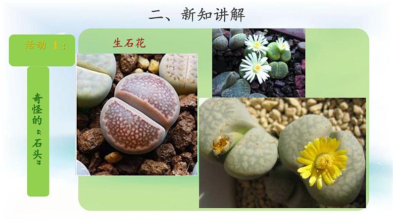 粤教版一年级上册科学1.2 我有好奇心（教案+课件）04