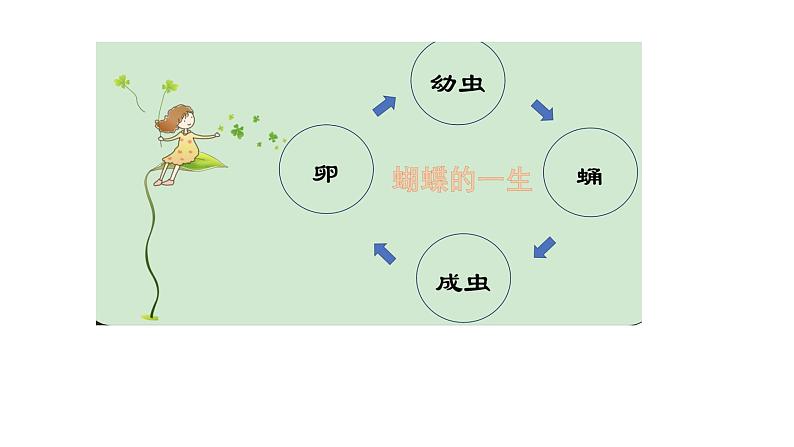 大象版小学科学三年级上册第二单元第4课动物的一生课件（ppt+16张)第8页