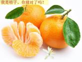 粤教版一年级上册科学2.6美味的水果（教案+课件）