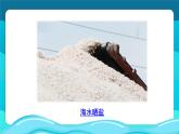教科版三年级上册科学第一单元《第7课 混合与分离》课件