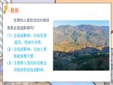 教科版科学五年级上册第二单元《第1课 地球的表面》课件