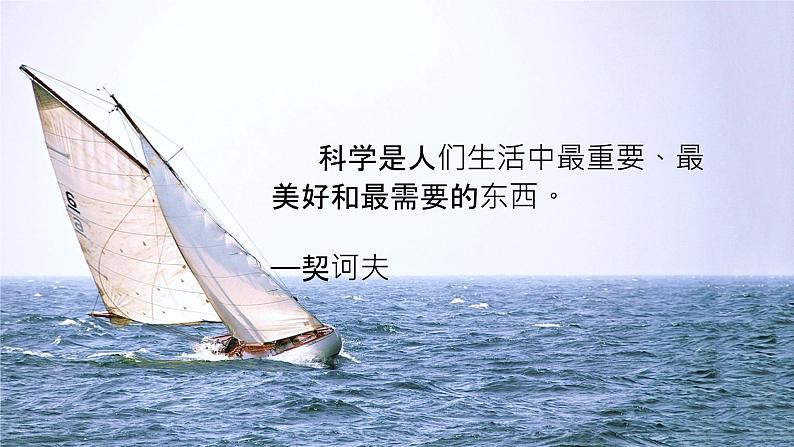 苏教版科学五年级上册19.《我们的大脑》（课件）02