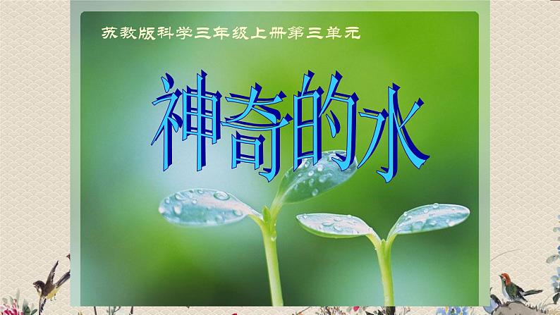 苏教版三年级上册科学第三单元生命之源---水《3.神奇的水》说课课件第1页