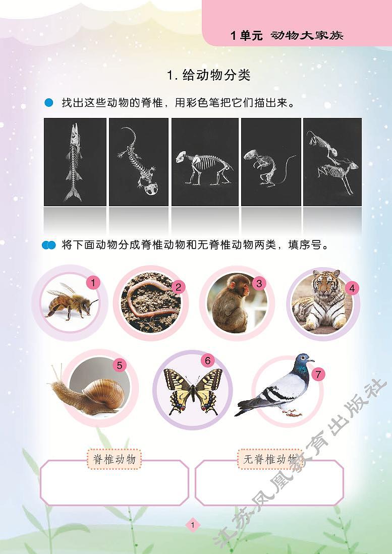 新苏教版科学四年级上册学生活动手册（电子版）2024高清PDF电子版03