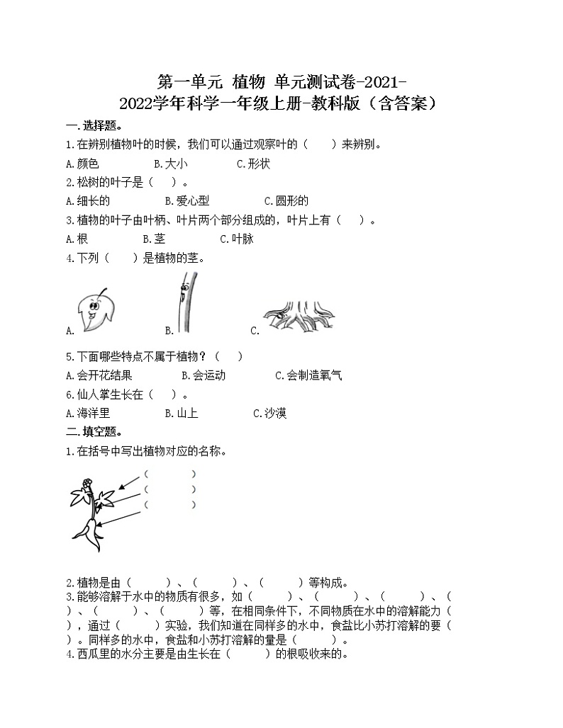 第一单元 植物 单元测试卷-2021-2022学年科学一年级上册-教科版（含答案）第1页