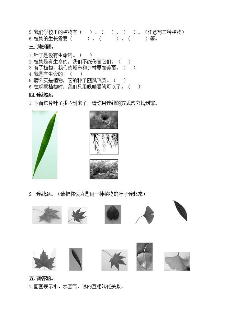 第一单元 植物 单元测试卷-2021-2022学年科学一年级上册-教科版（含答案）第2页
