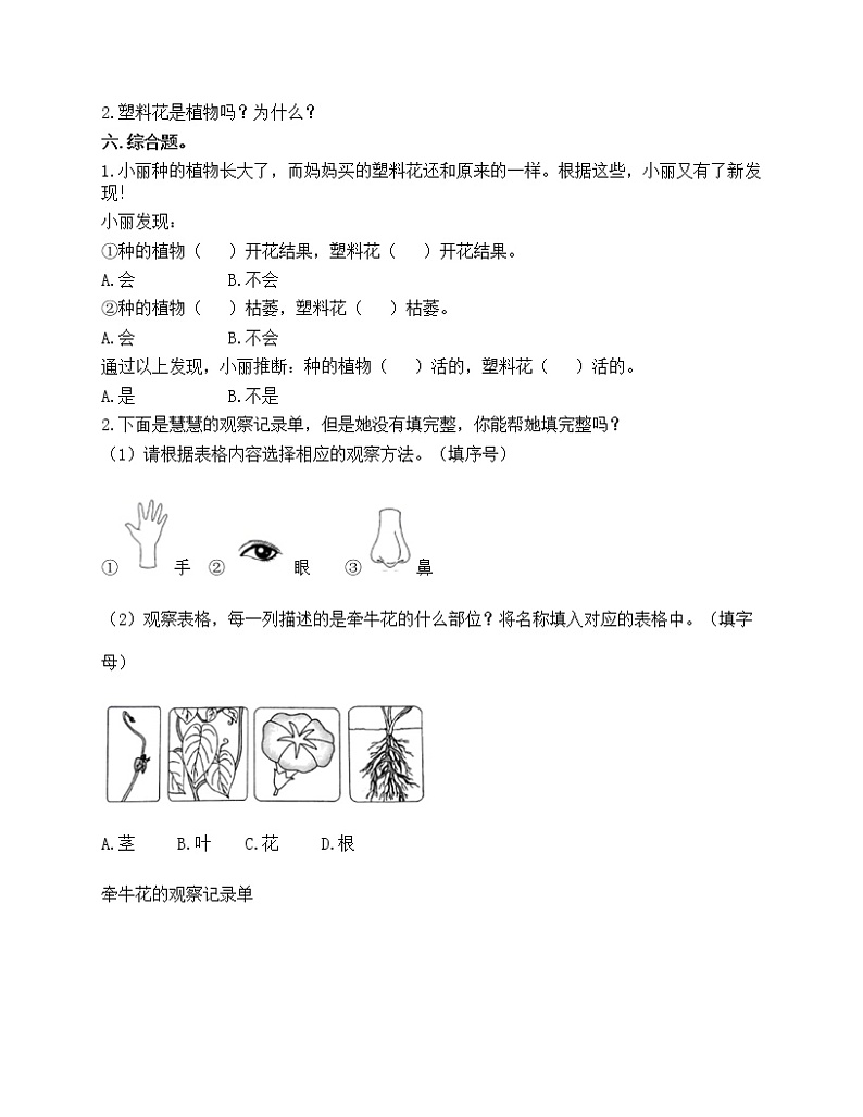 第一单元 植物 单元测试卷-2021-2022学年科学一年级上册-教科版（含答案）第3页