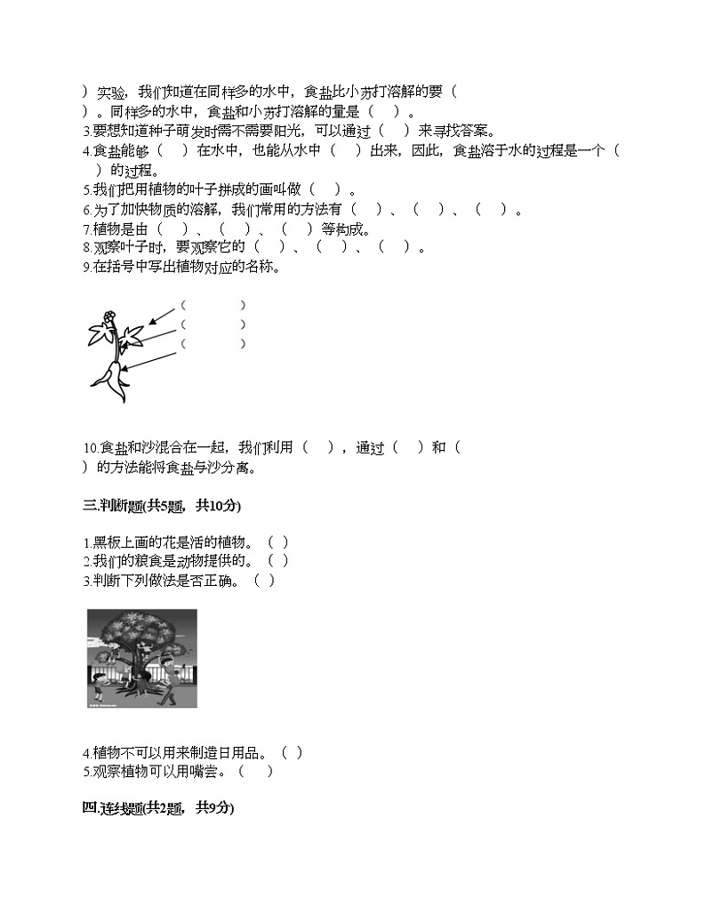 第一单元 植物 单元测试卷-2021-2022学年科学一年级上册-教科版（含答案） (1)第3页