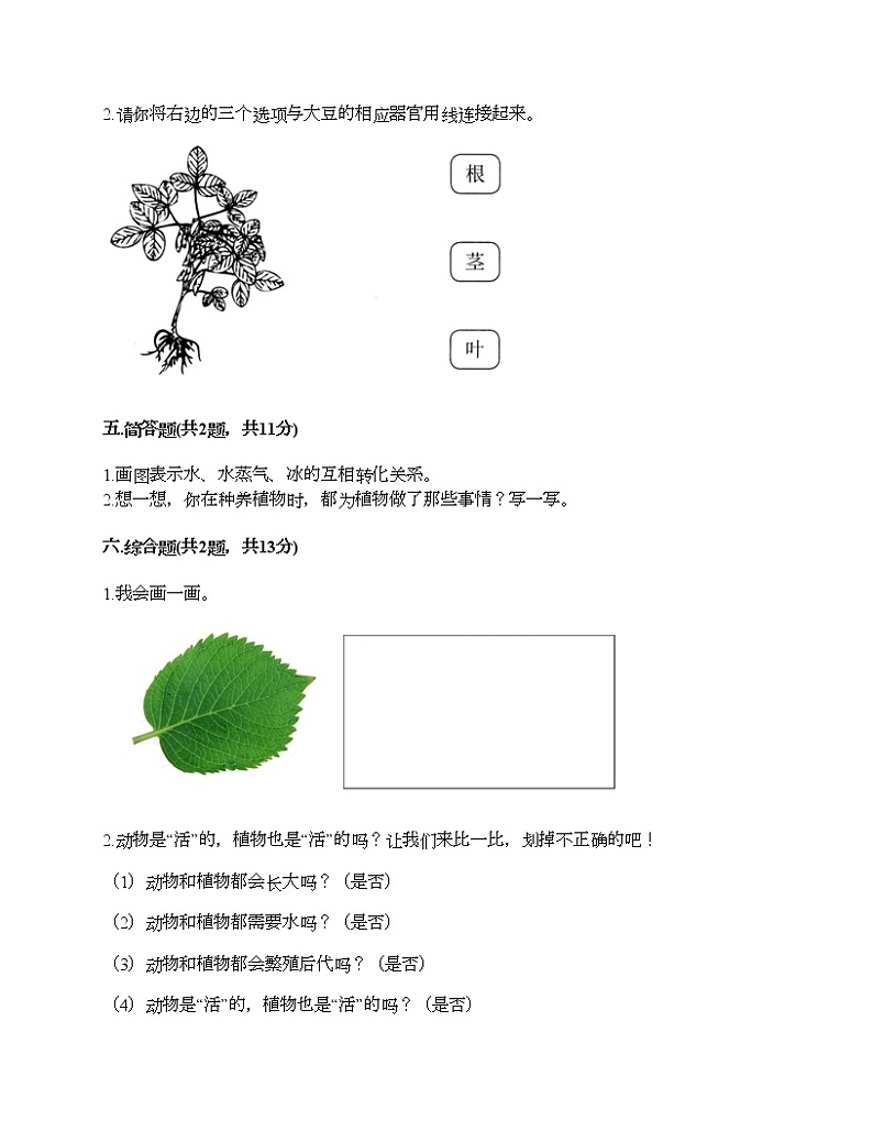 第一单元 植物 单元测试卷-2021-2022学年科学一年级上册-教科版（含答案）第3页