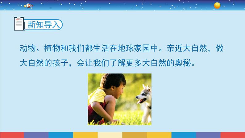 教科版科学二年级上册1.7《做大自然的孩子》课件第3页