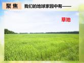 最新2021小学教科版科学二年级上册1地球家园中有什么ppt精品课件