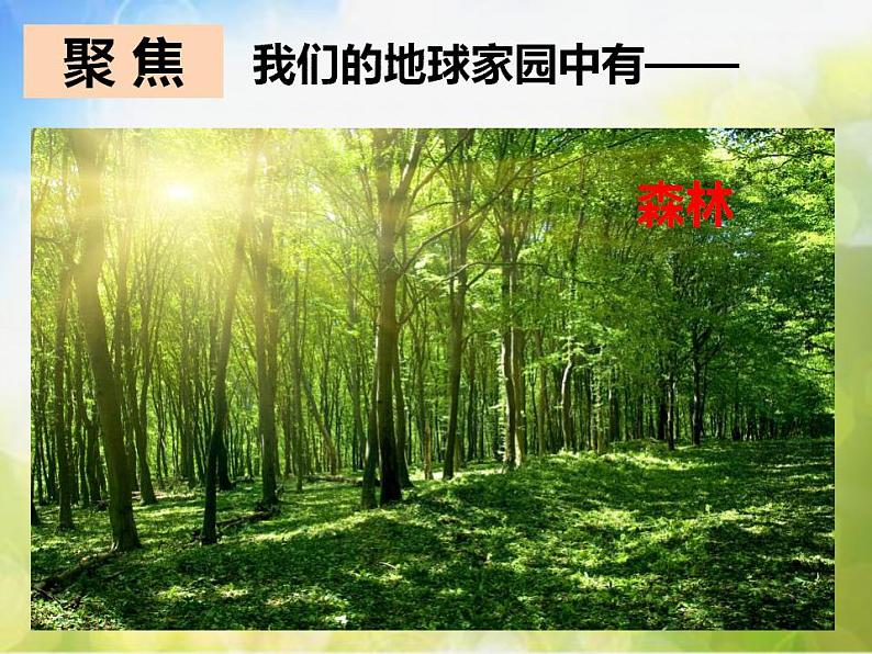 最新2021小学教科版科学二年级上册1地球家园中有什么ppt精品课件第6页