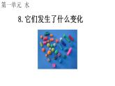 教科版三年级科学上册 第一单元 1.8 它们发生了什么变化 课件