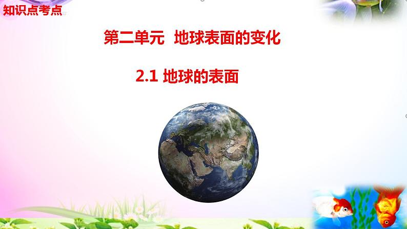 新版教科版科学五年级上册2.1地球的表面-知识点+实验+典型试题(动画已调点击出现)课件PPT02