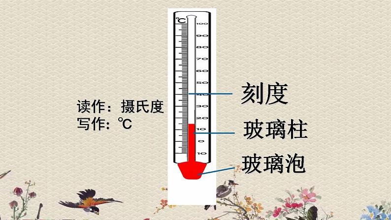 苏教版四年级上册 科学第二单元  冷和热《冷热和温度》课件第5页