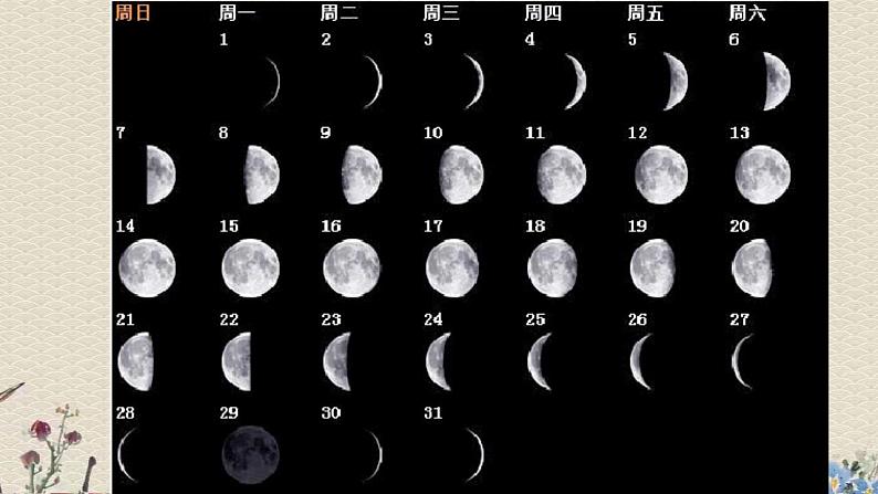 苏教版五年级上册科学 第一单元 白天和黑夜《看月亮》课件第6页