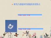苏教版 五年级上册 科学 第二单元 光与色彩《研究透镜》课件