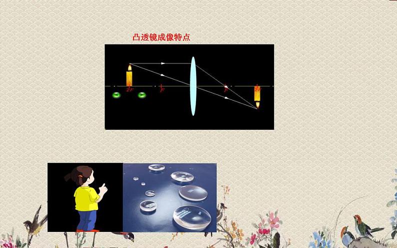 苏教版 五年级上册 科学 第二单元 光与色彩《研究透镜》课件第8页