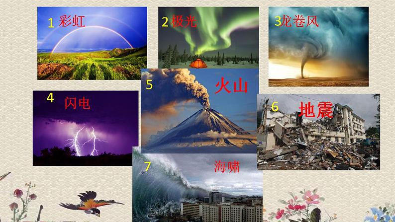 苏教版六年级上册 科学 第二单元 我们的地球 《火山和地震》课件第3页