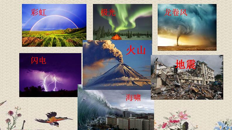 苏教版六年级上册 科学 第二单元 我们的地球 《火山和地震》课件第4页