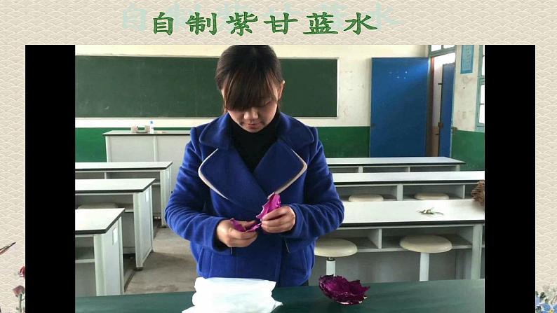 苏教版六年级上册 科学 第三单元 物质在变化《《变色花》 》课件02