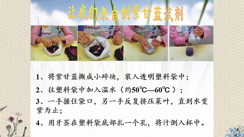 苏教版六年级上册 科学 第三单元 物质在变化《《变色花》 》课件03