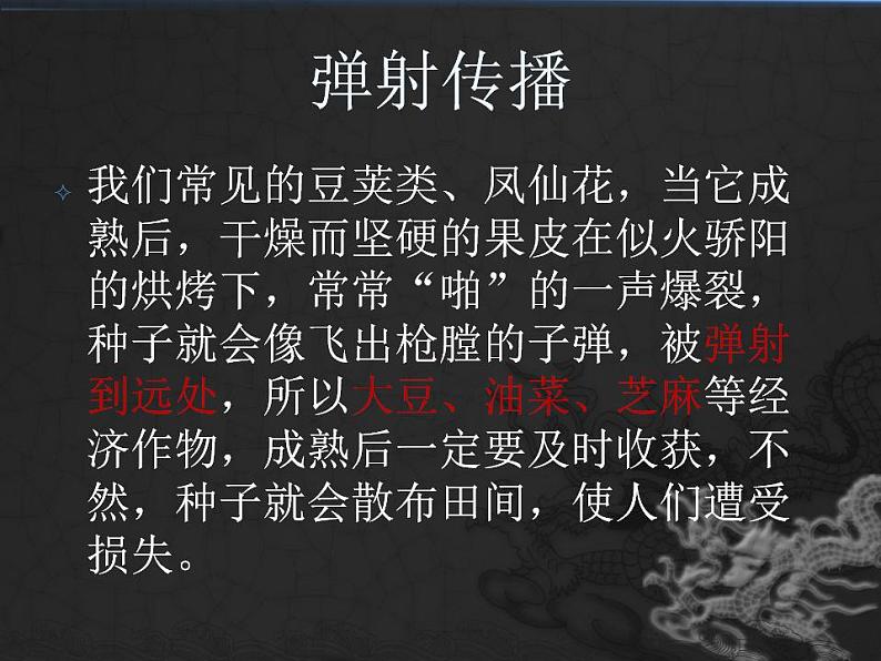 4.把种子散播到远处课件PPT05