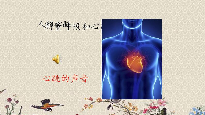 苏教版五年级上册 科学 第四单元 呼吸和血液循环 《测量呼吸和心跳》课件05