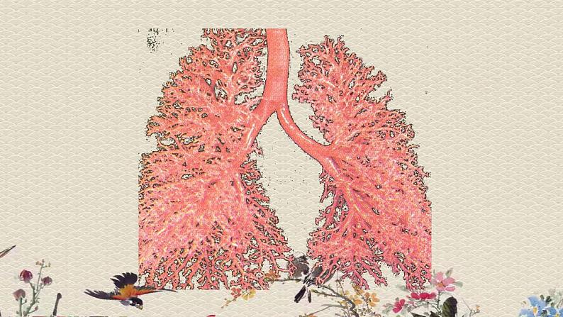 苏教版五年级上册 科学 第四单元 呼吸和血液循环 《肺和呼吸》课件第7页