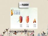 青岛版（六三制2017）二年级上册 科学 第三单元 植物与环境《植物和阳光》课件