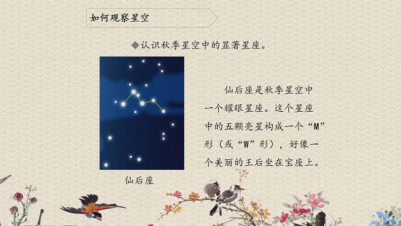 青岛版（六三制）五年级上册 科学 第三单元 秋冬星空《秋季星空》课件05