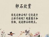 青岛版（六三制）五年级上册 科学 第一单元地球和地表的变化《做一块卵石》课件
