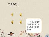 青岛版（六三制）五年级上册 科学 第二单元 声音的秘密《各种各样的声音》课件