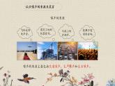 青岛版（六三制）五年级上册 科学 第二单元 声音的秘密《噪声的危害与防治》课件