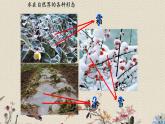 青岛版（六三制）五年级上册 科学 第五单元 水循环《水的三态变化》课件