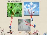 青岛版（六三制）五年级上册 科学 第五单元 水循环《水的三态变化》课件